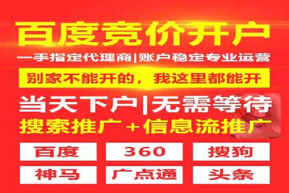 SEM广告投放的创意与执行：成功案例剖析
